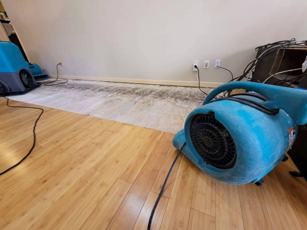 Professional Water Extraction technician working in Holyoke, MN